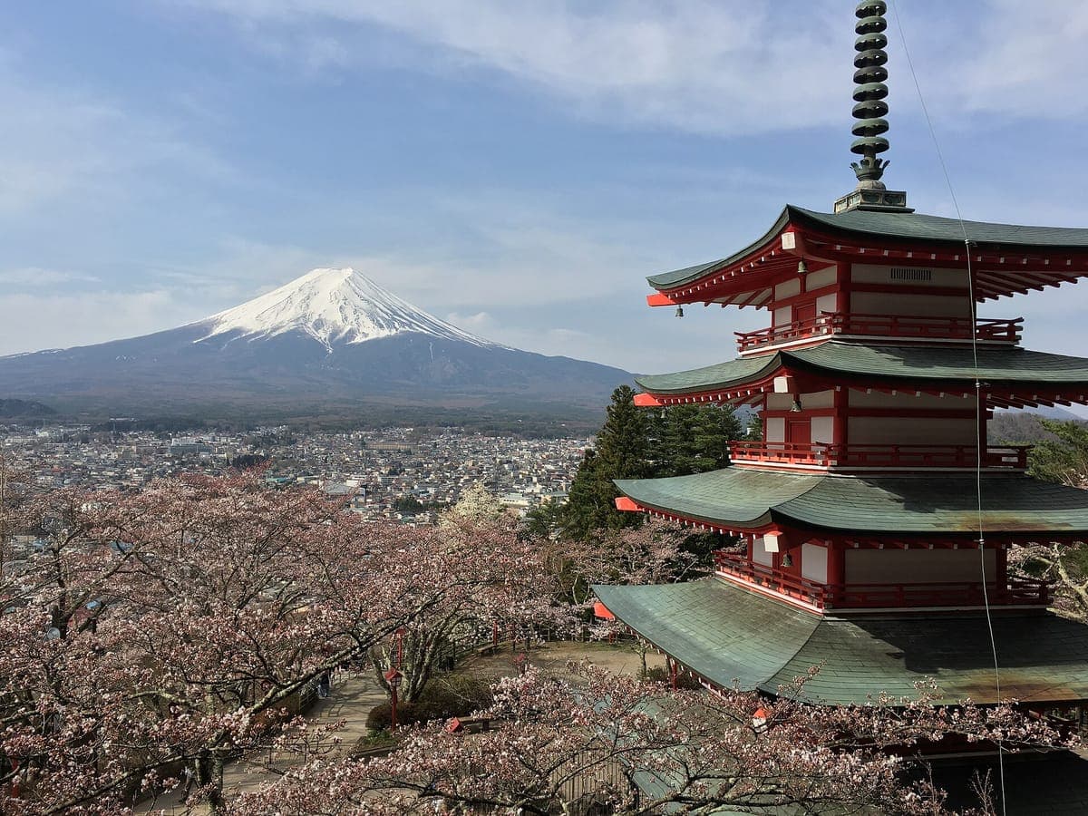 Cherry Blossom Viewing - Fujiyoshida
