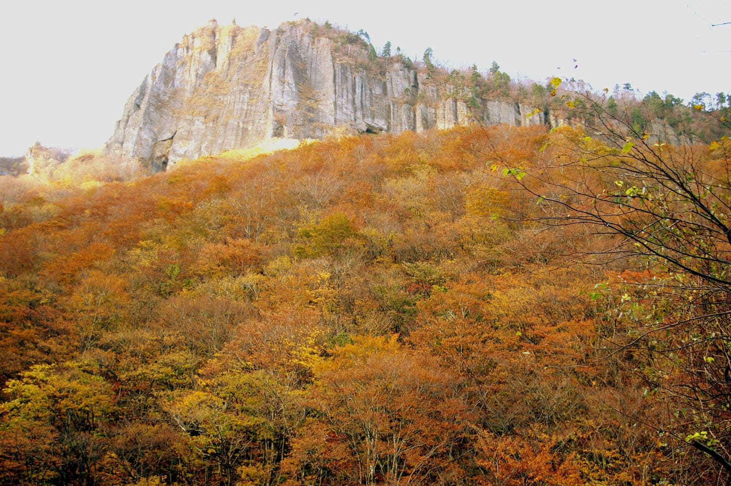 Banji-iwa Rock (Futakuchi Gorge)