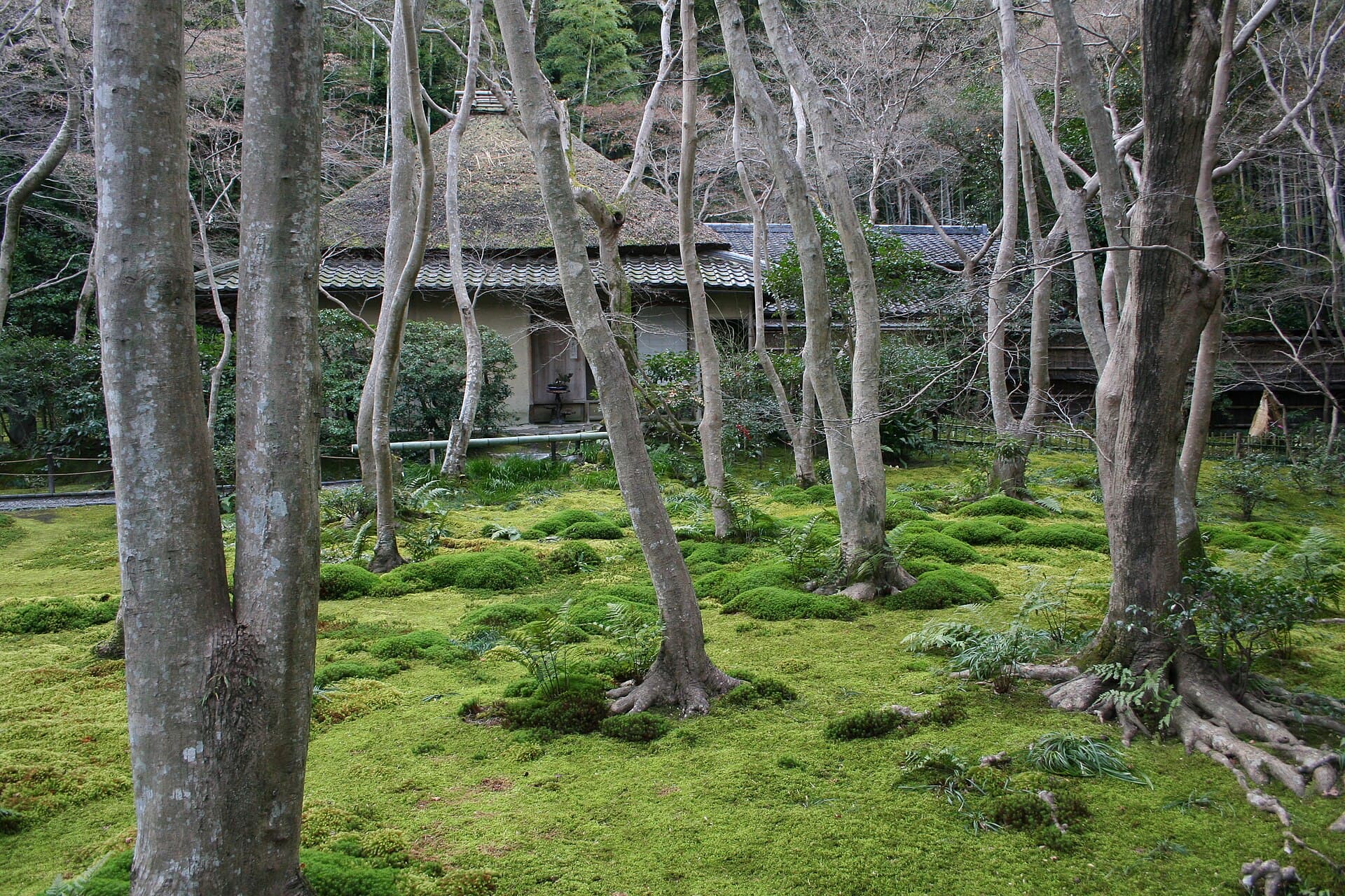 Gio-ji