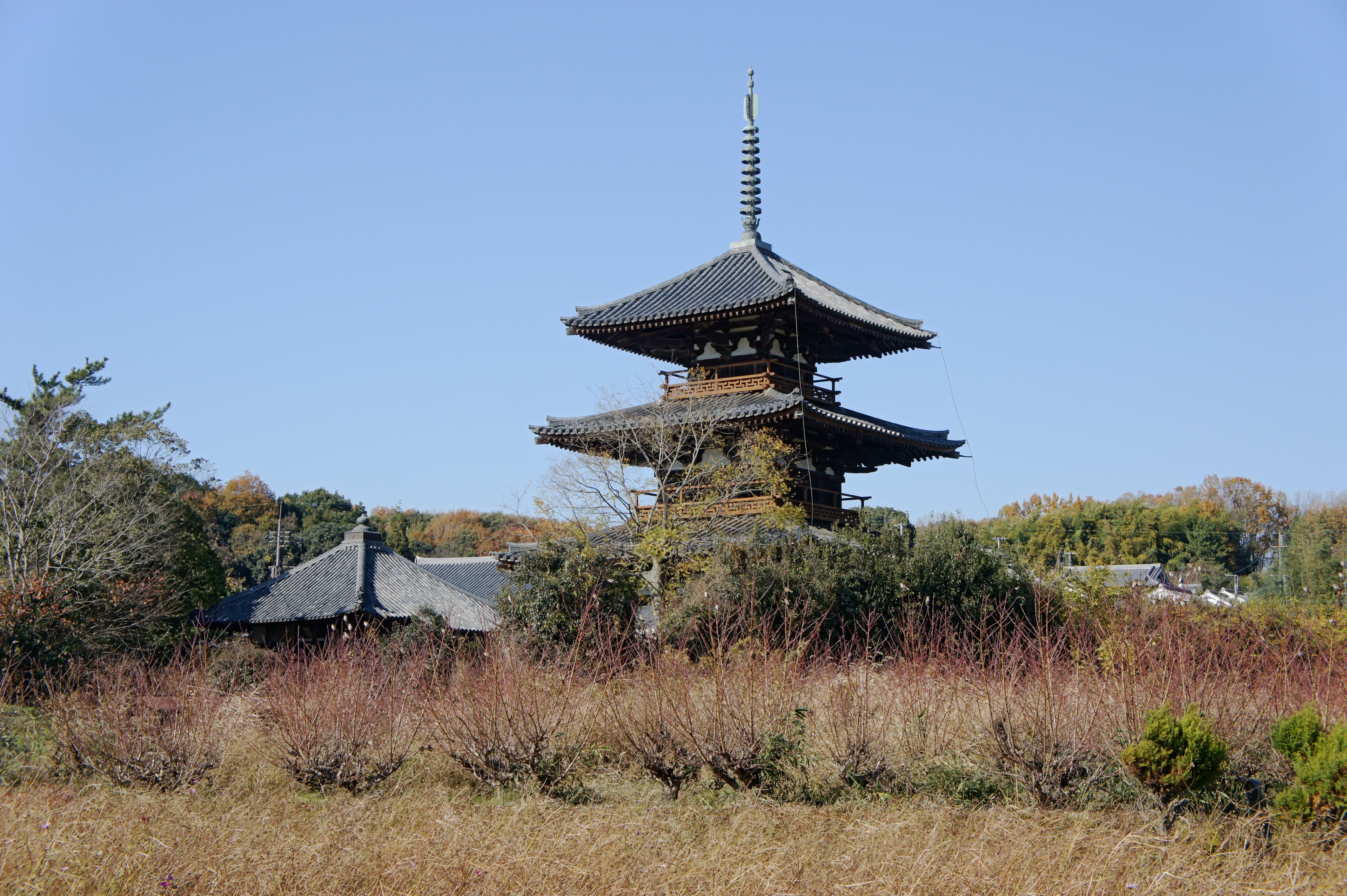 Hokki-ji Temple