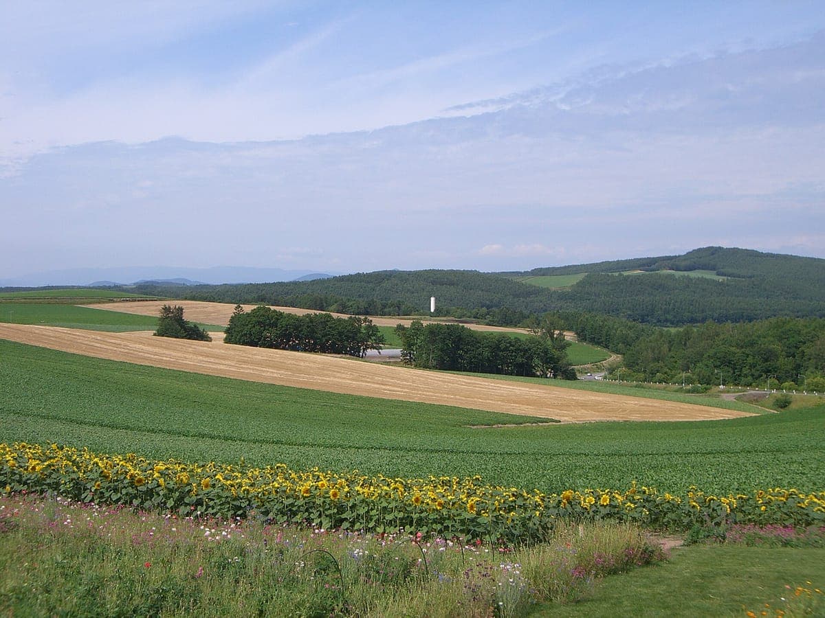 Patchwork Road