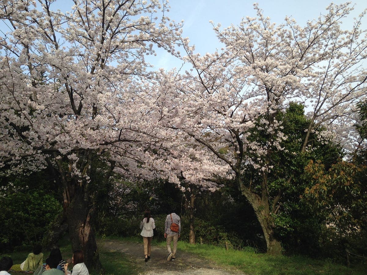 Nishi Park