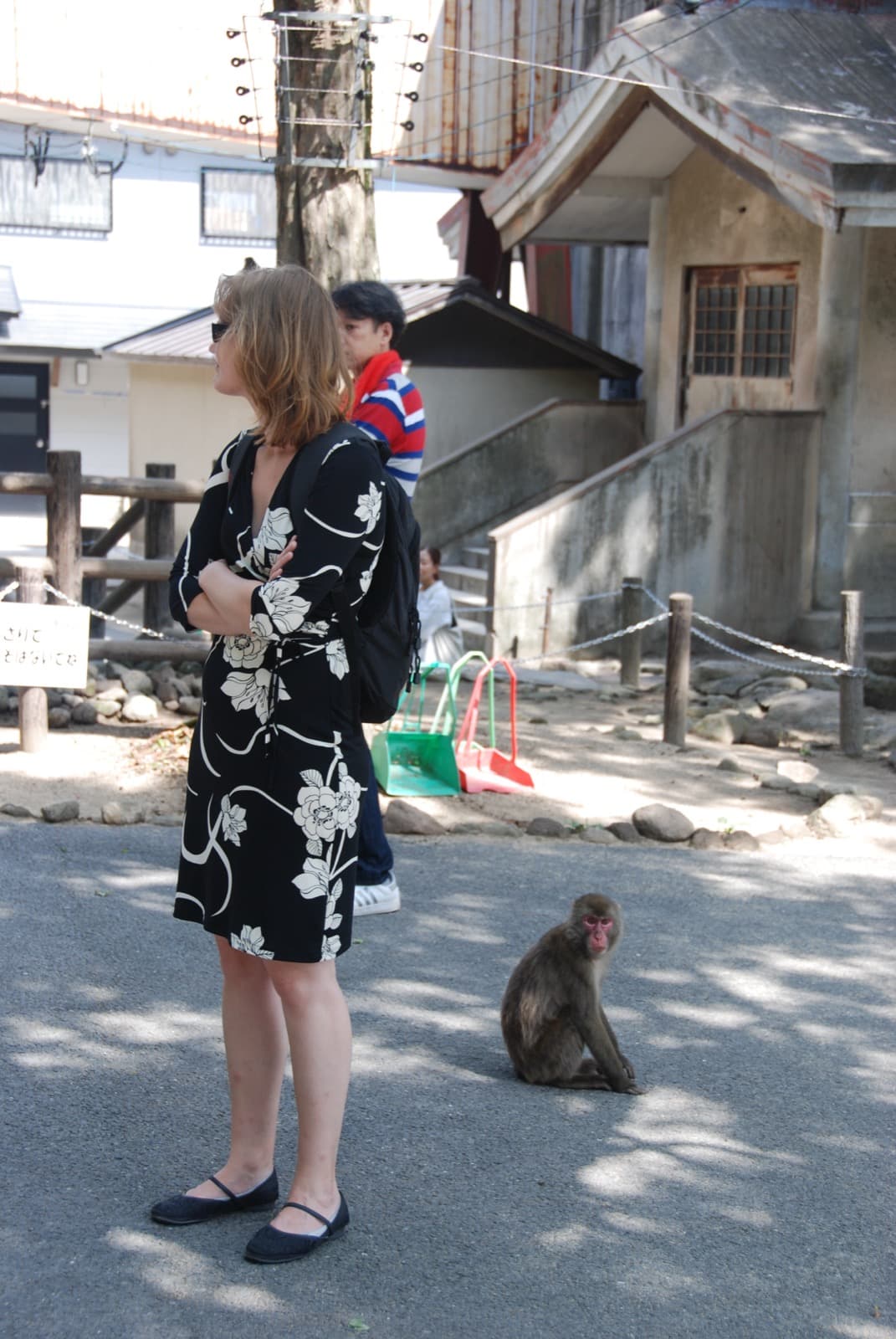 Takasakiyama Natural Zoological Garden