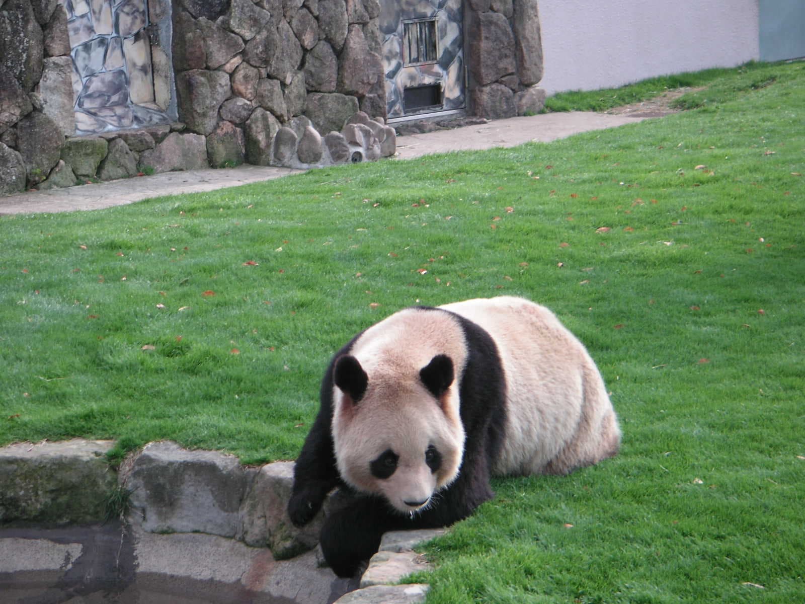 Adventure World Zoo and Amusement Park