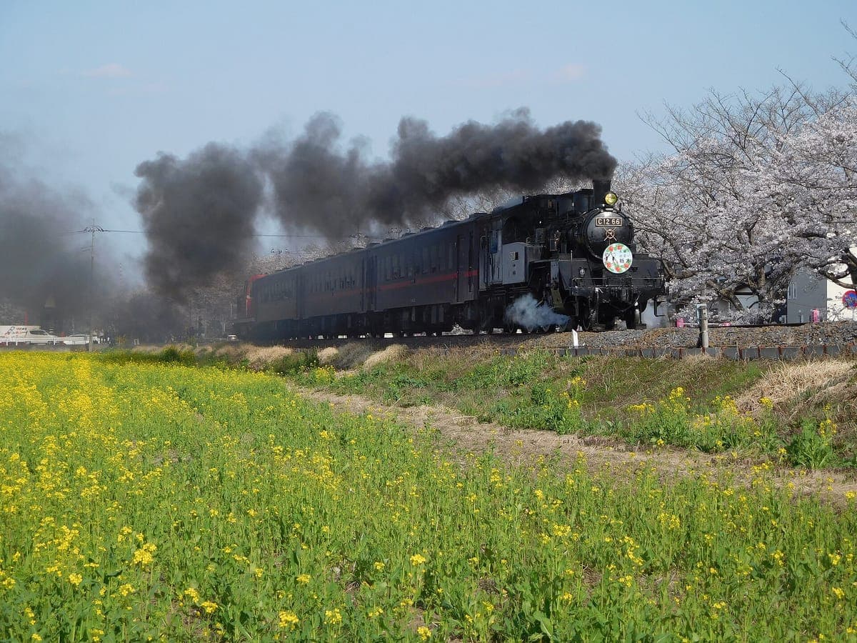Mooka Railway Steam Train
