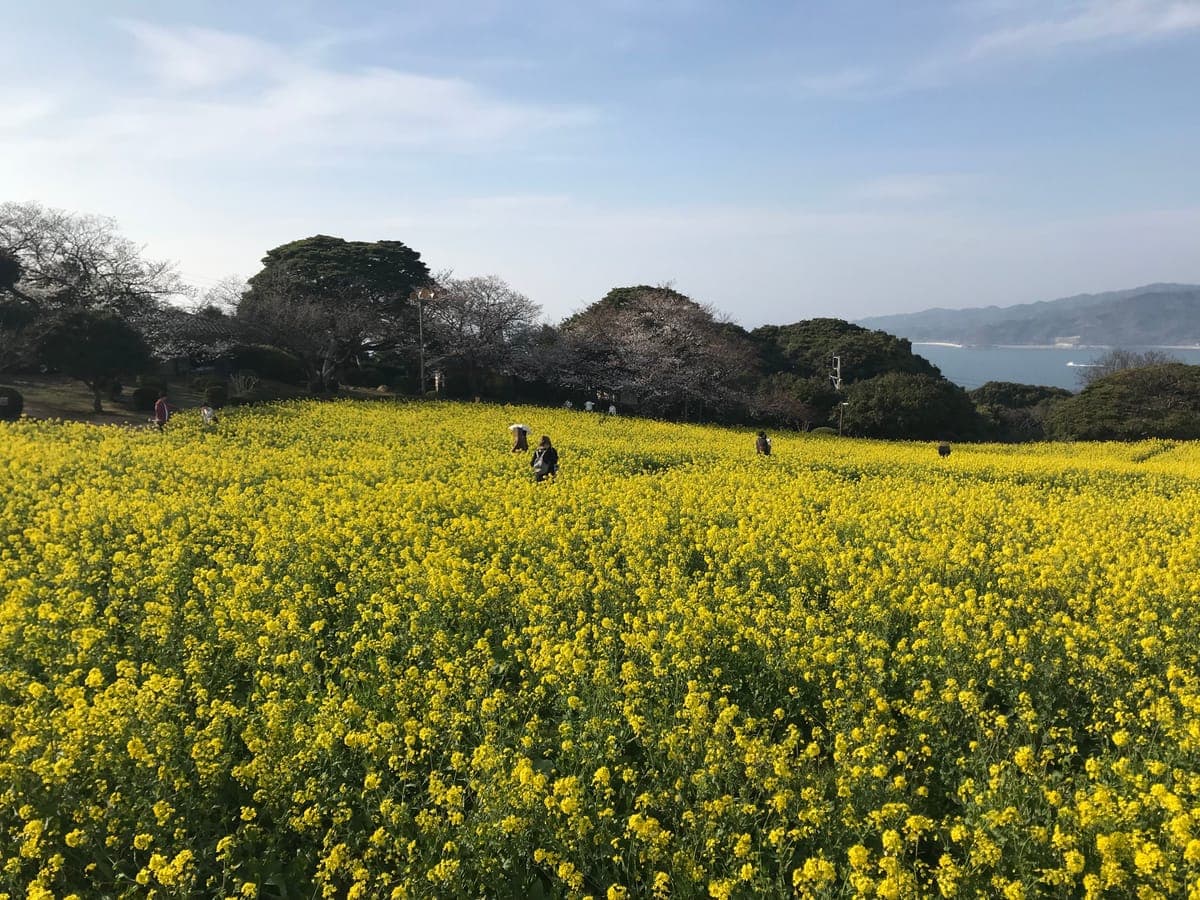 Nokonoshima Island Park