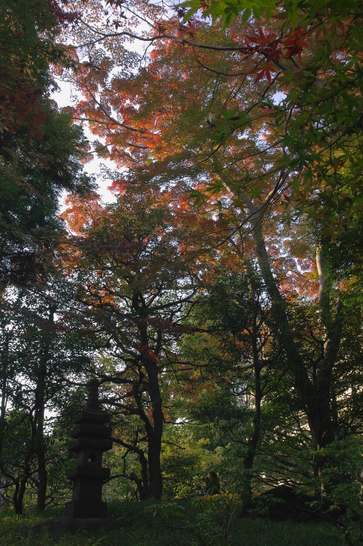 Tonogayato Garden