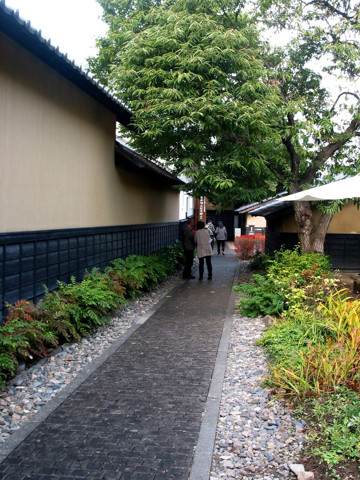 Obuse Chestnut Town
