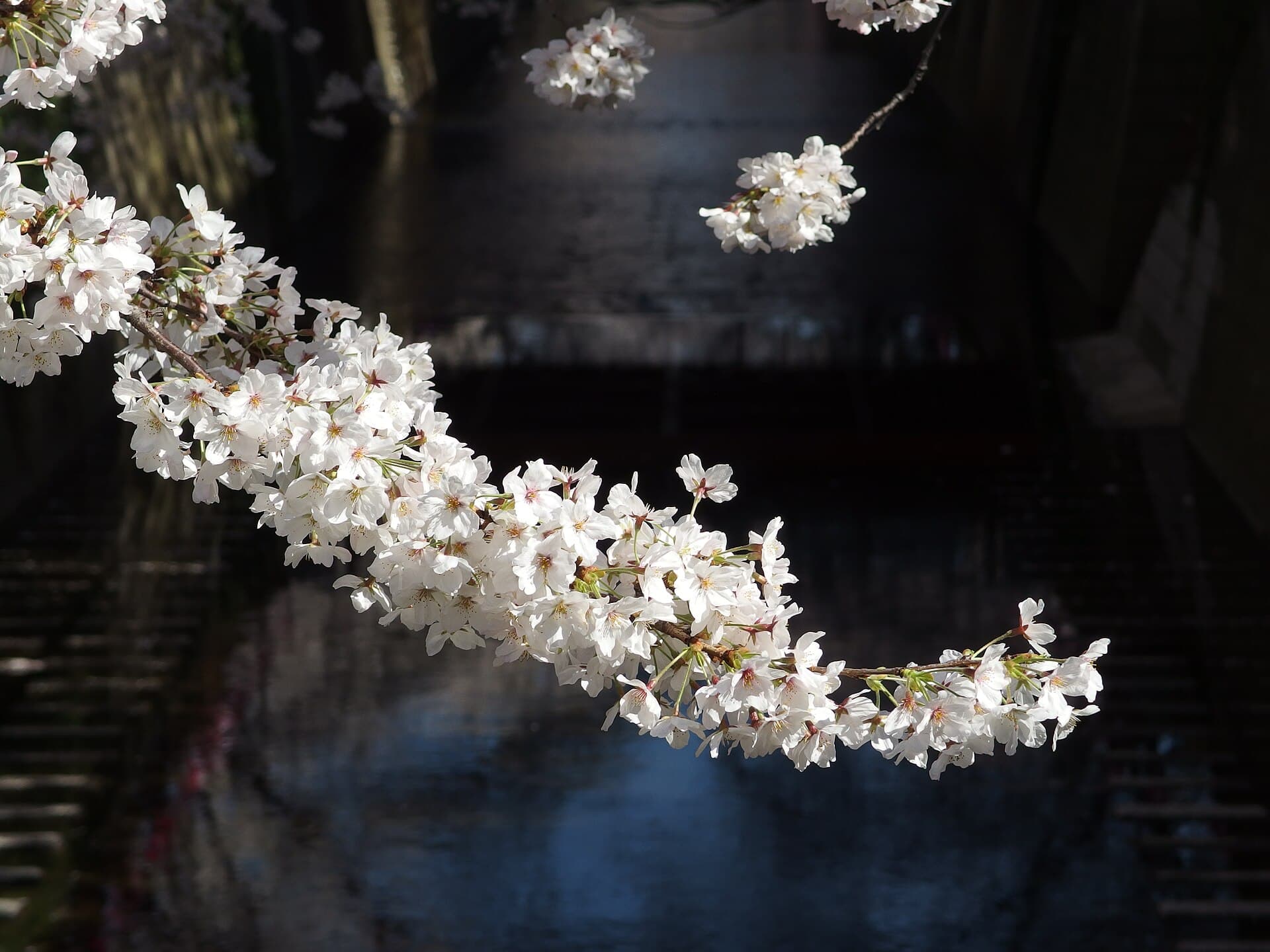 Naka-Meguro