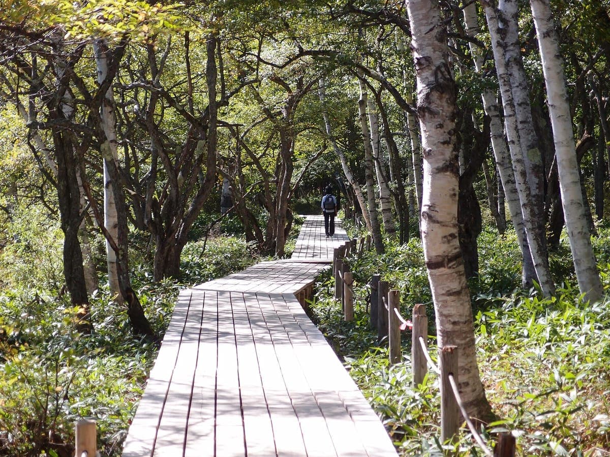 Senjogahara Moor