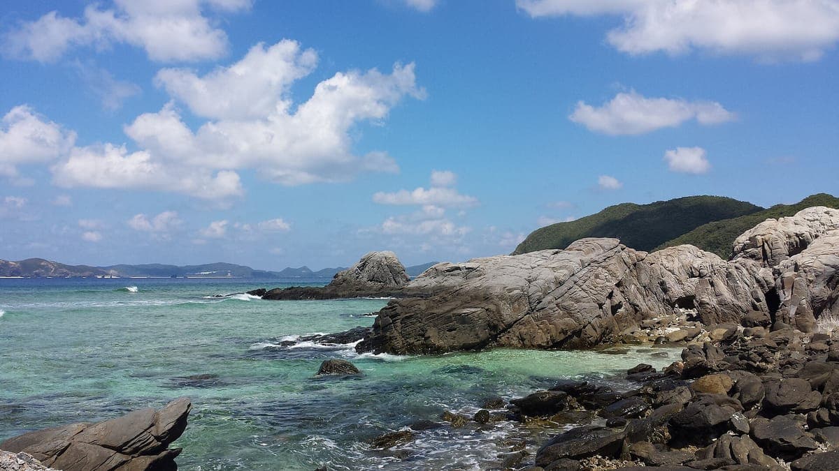 Tokashiki Island Forest