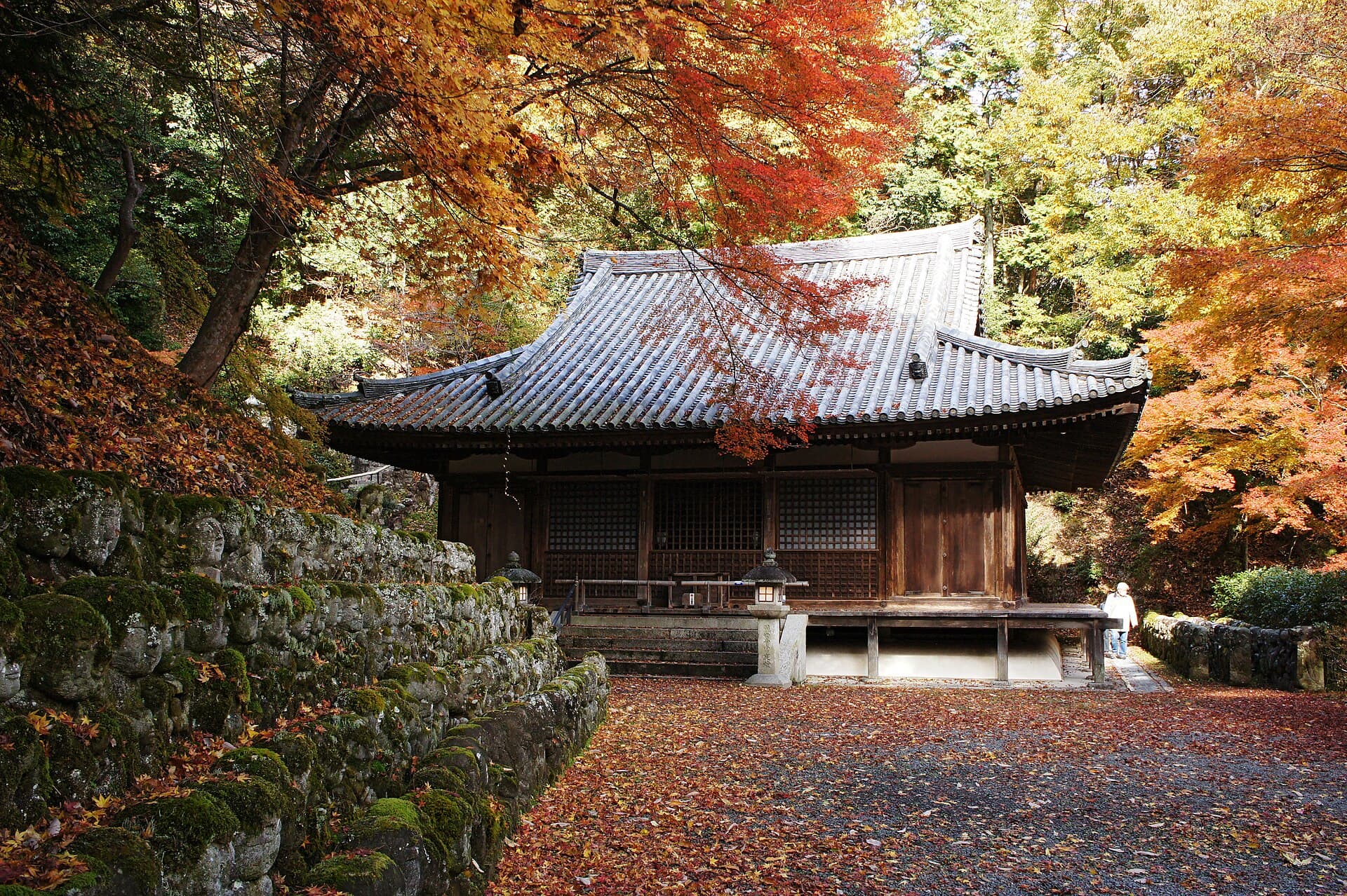 Rainy-Season Japan: Hydrangea Temples & Mossy Gardens in the June Tsuyu