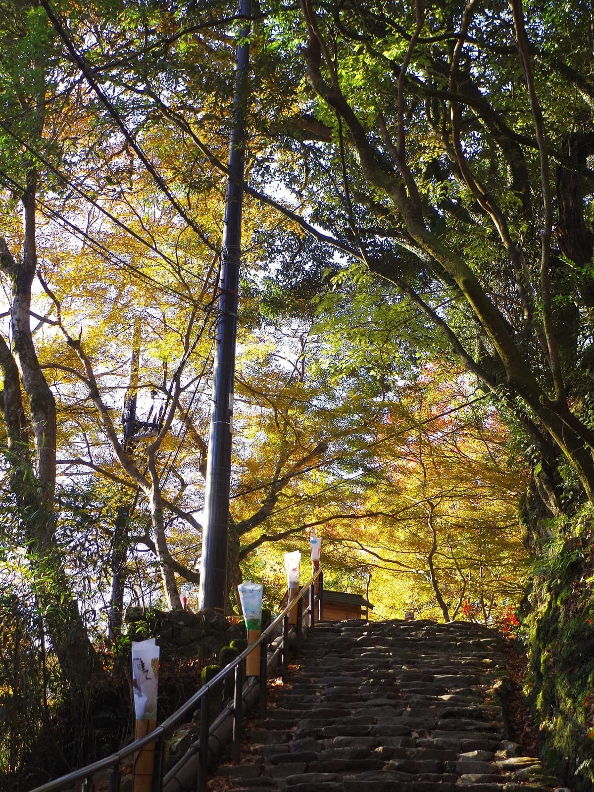 Jingo-ji Temple Takao