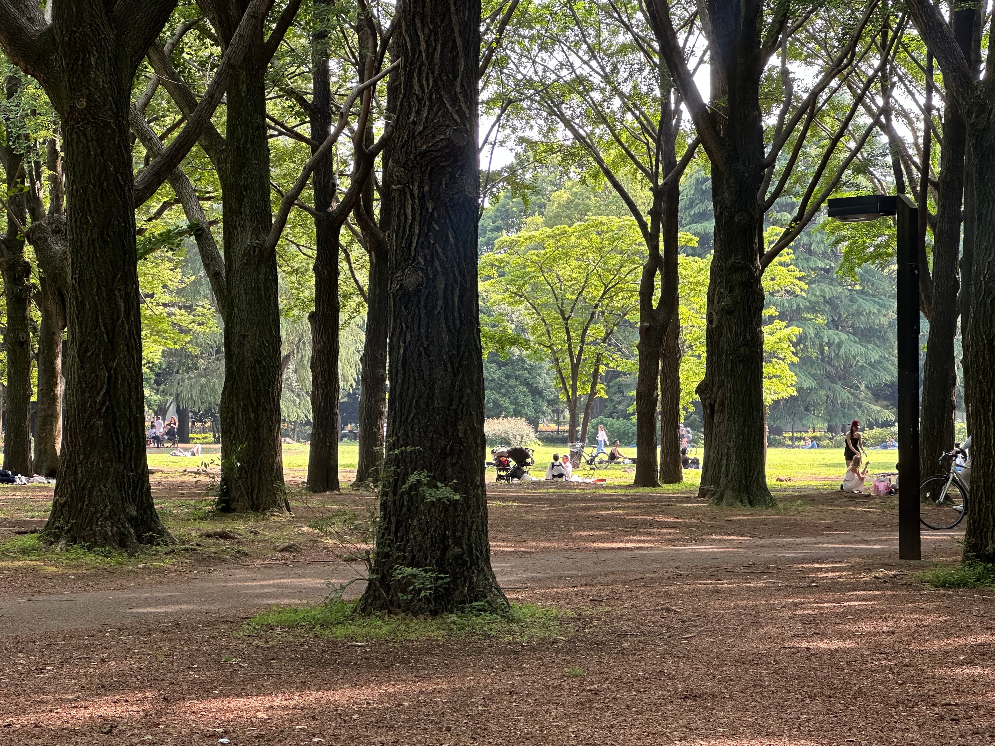 Yoyogi Park