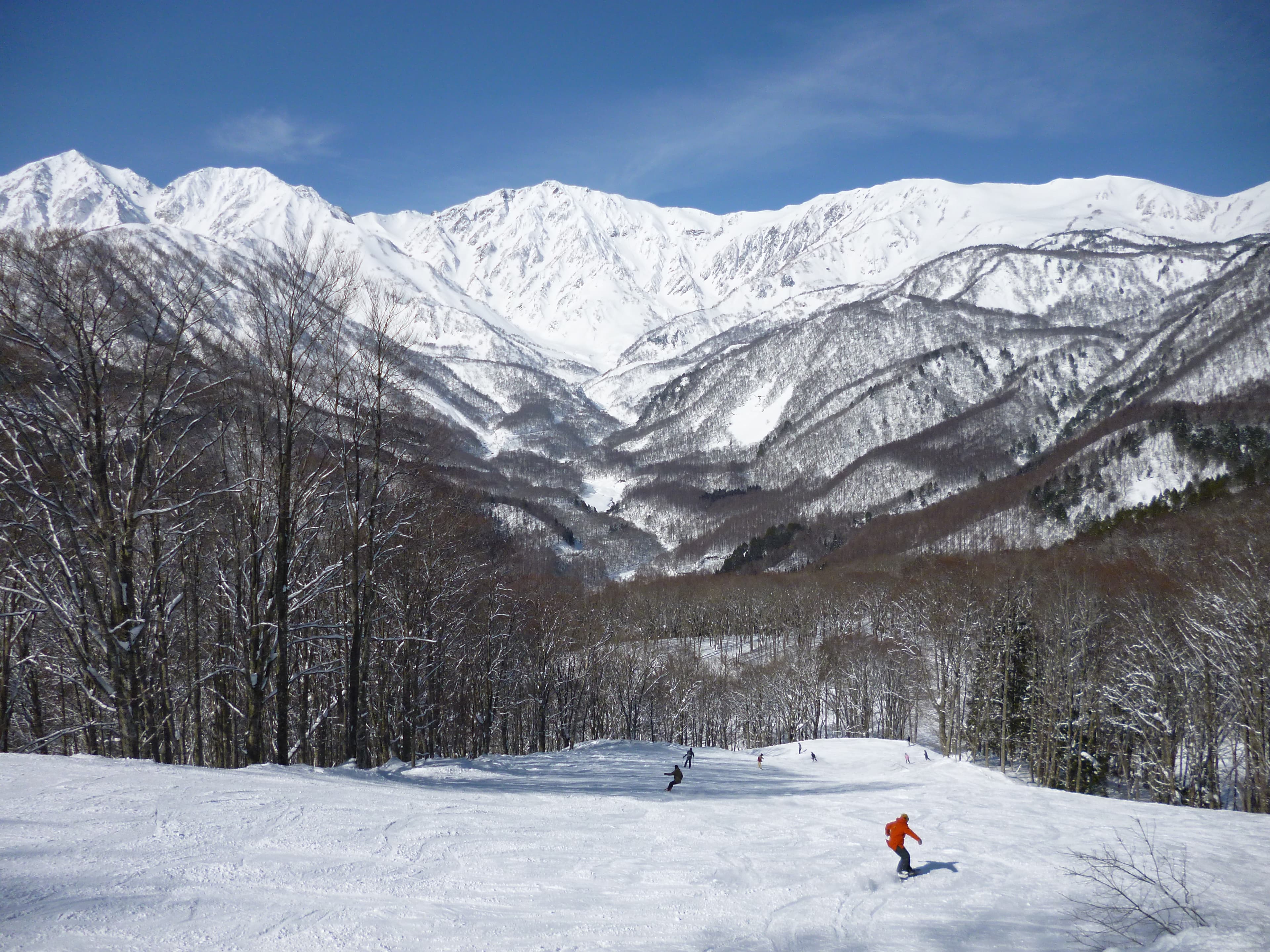 Hakuba Iwatake Snow Field